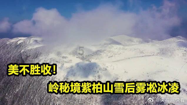 花絮中5个BGM找到了,肖战生日落幕,奔跑者变成攀登者