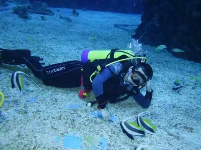 运货车翻翻看